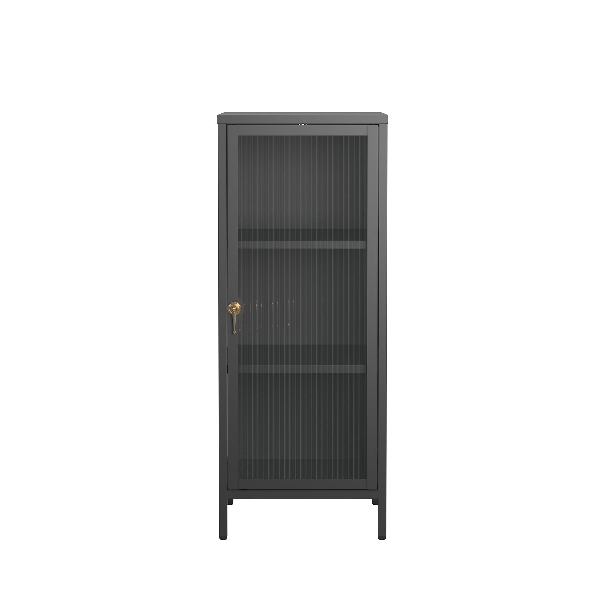 Benoite 40.02-inch Black One Door Storage Cabinet with Fluted Clear Door and Gold Handle