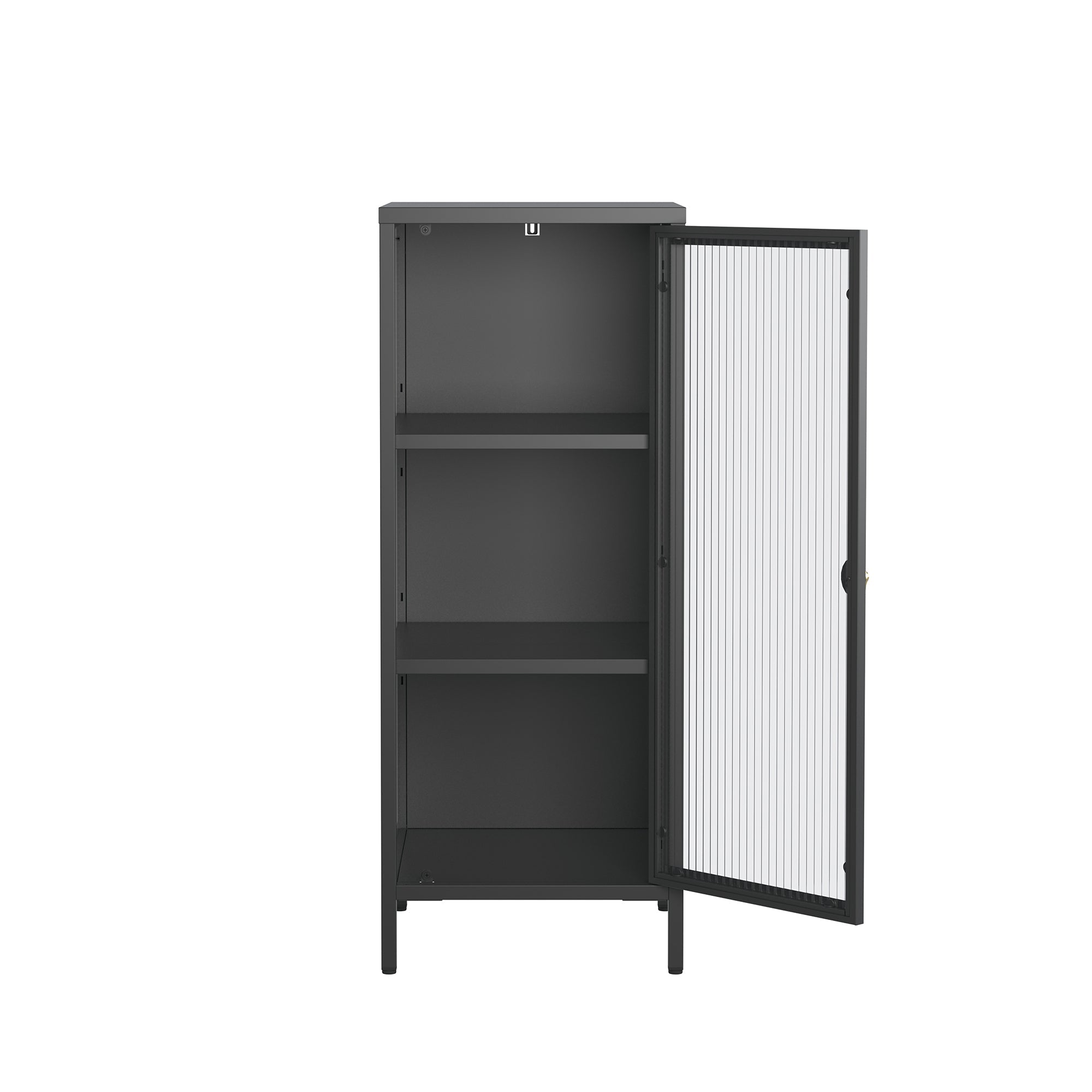 Benoite 40.02-inch Black One Door Storage Cabinet with Fluted Clear Door and Gold Handle
