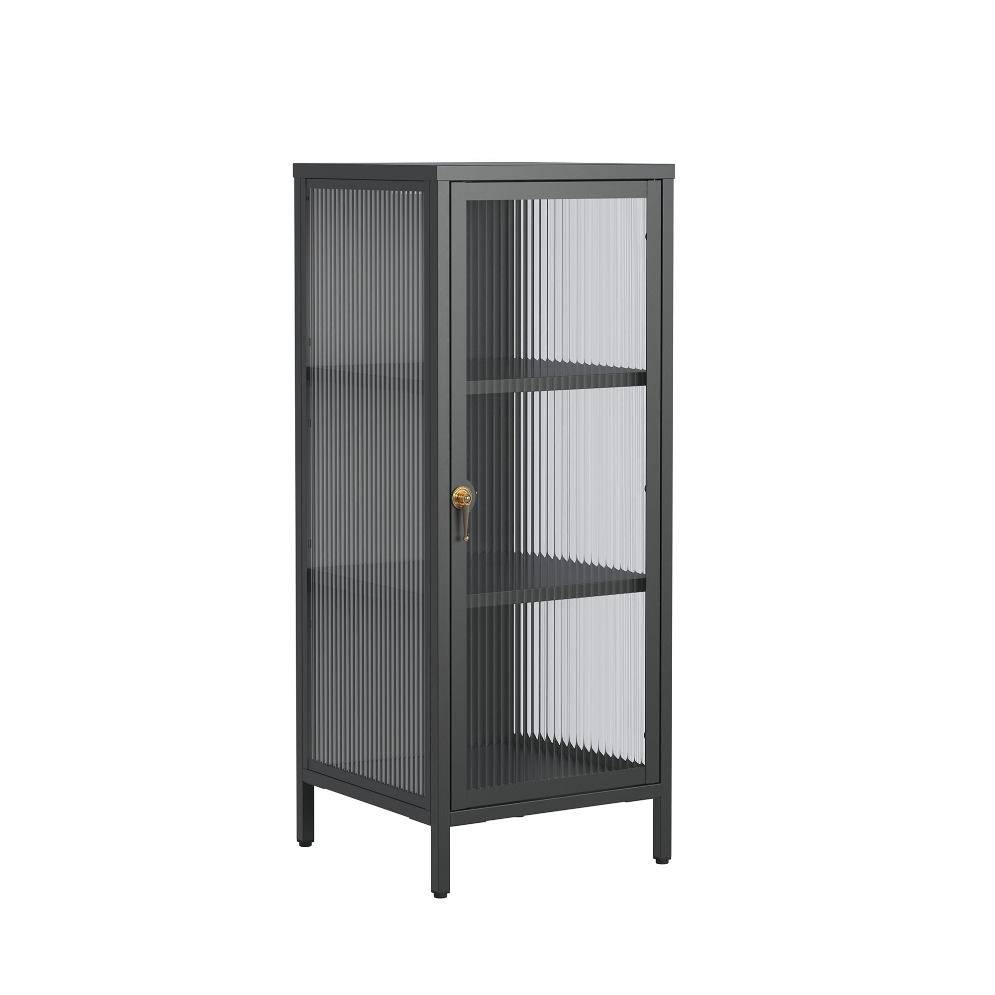Benoite 40.02-inch Black One Door Storage Cabinet with Fluted Clear Door and Gold Handle