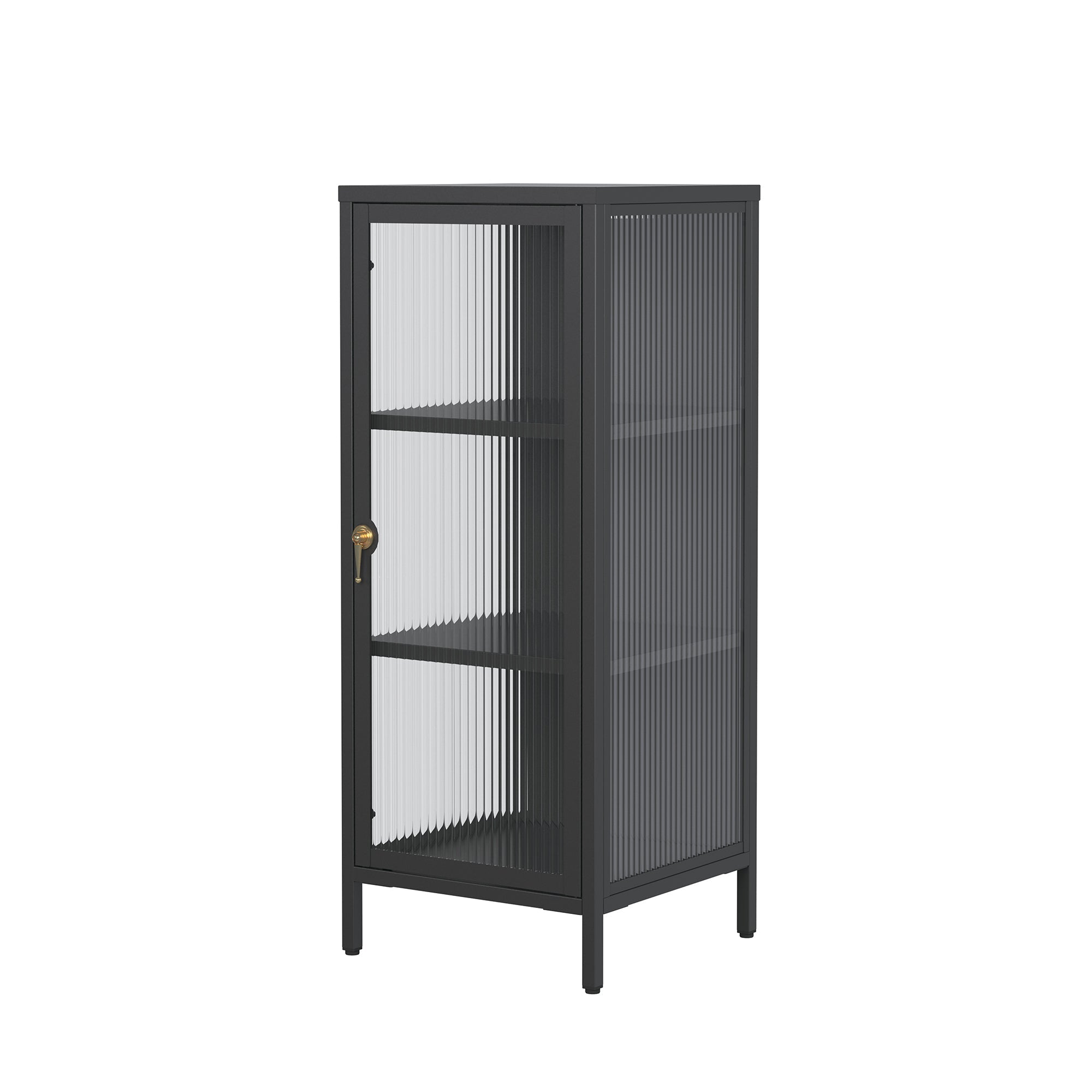 Benoite 40.02-inch Black One Door Storage Cabinet with Fluted Clear Door and Gold Handle
